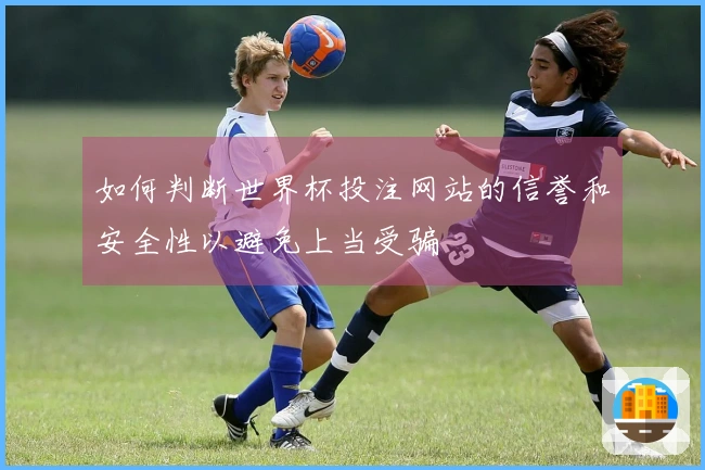 如何判断世界杯投注网站的信誉和安全性以避免上当受骗