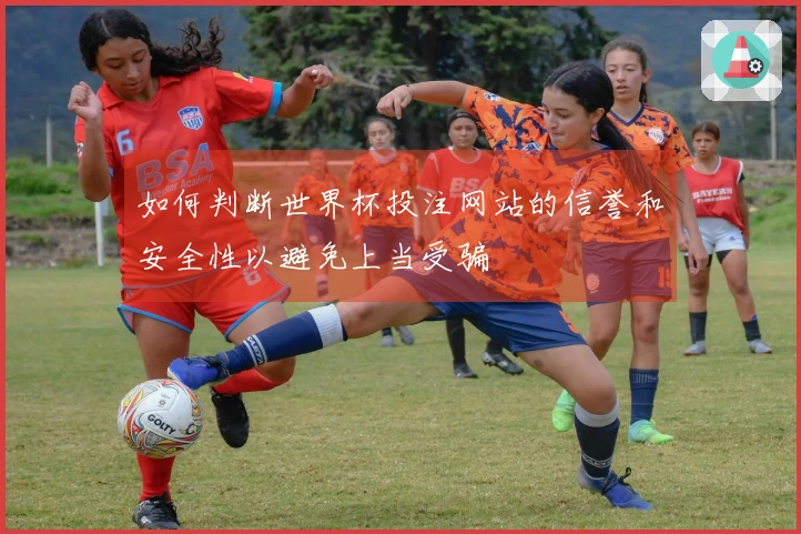 如何判断世界杯投注网站的信誉和安全性以避免上当受骗