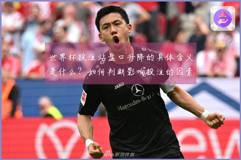 世界杯投注站盘口升降的具体含义是什么?如何判断影响投注的因素