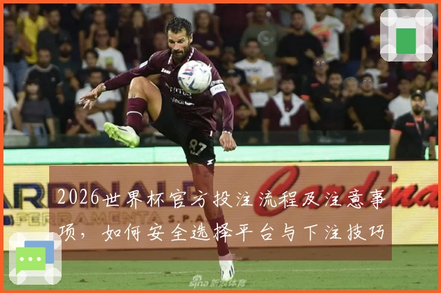 2026世界杯官方投注流程及注意事项，如何安全选择平台与下注技巧