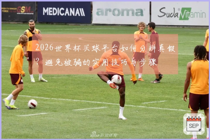 2026世界杯买球平台如何分辨真假？避免被骗的实用技巧与步骤